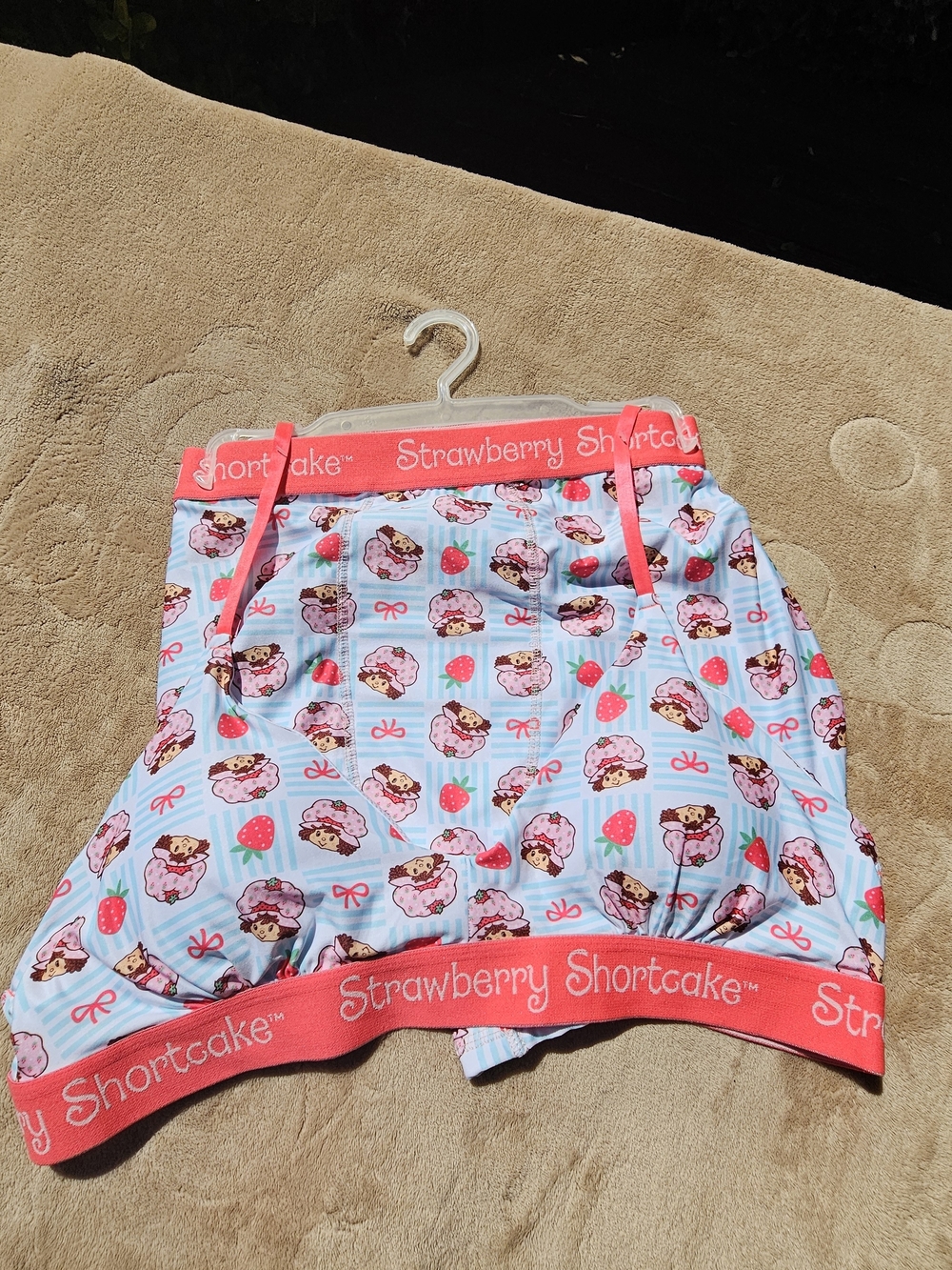 Strawberry Shortcake Light Blue & Pink Strawberry Print Bra And Boyshorts. 1X